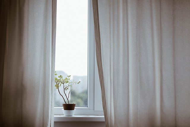 plant-home-window-vase
